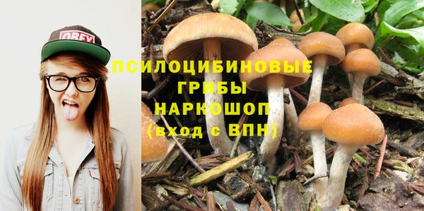 винт Аркадак