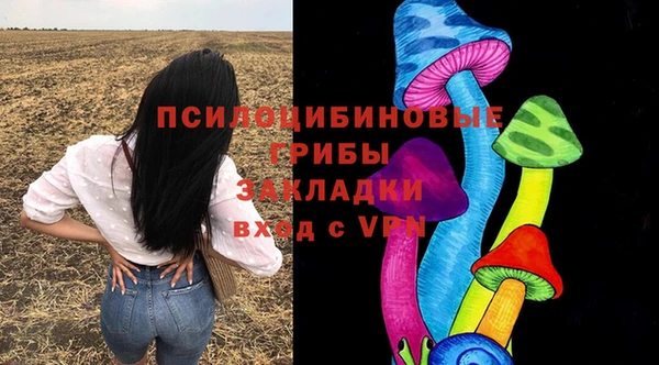 винт Аркадак
