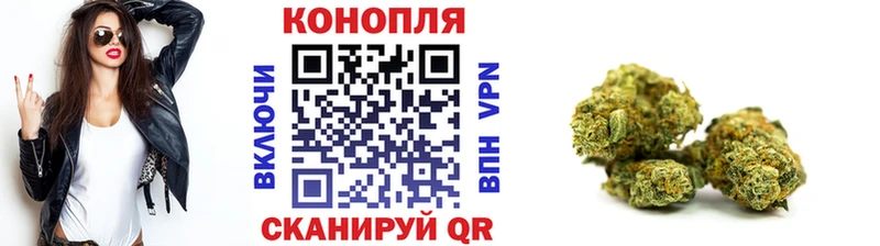 дарнет шоп  Каргополь  Каннабис индика 
